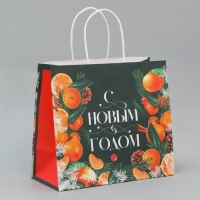 Пакет подарочный новогодний крафтовый &laquo;Новогодняя суета&raquo;, 25 х 22 х 12 см, Новый год
