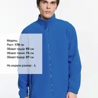 Куртка мужская North, ярко-синяя (royal), размер S