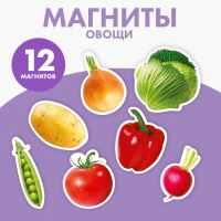 Магнитная игра &laquo;&lrm;Овощи&raquo;&lrm;