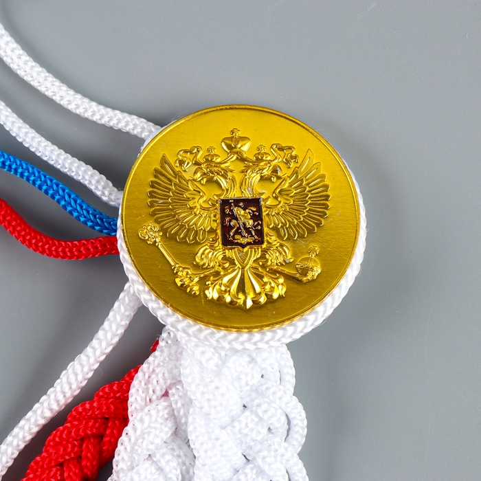 Карнавальный аксельбант «Солдат на параде», триколор Карнавальный аксельбант «Солдат на параде», триколор