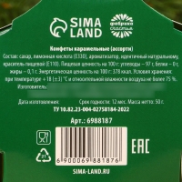 Леденцы &laquo;С Новым Годом&raquo;, 50 г.