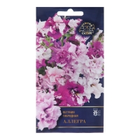 Семена цветов Петуния "Аллегра", Семена цветов Петуния "Аллегра",