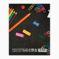 Дневник школьный для 1-11 класса, в интегральной обложке, 40 л. &laquo;1 сентября:Школьные принадлежности&raquo;