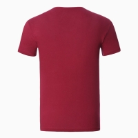 Футболка мужская, цвет бордовый, размер 48 Футболка мужская, цвет бордовый, размер 48