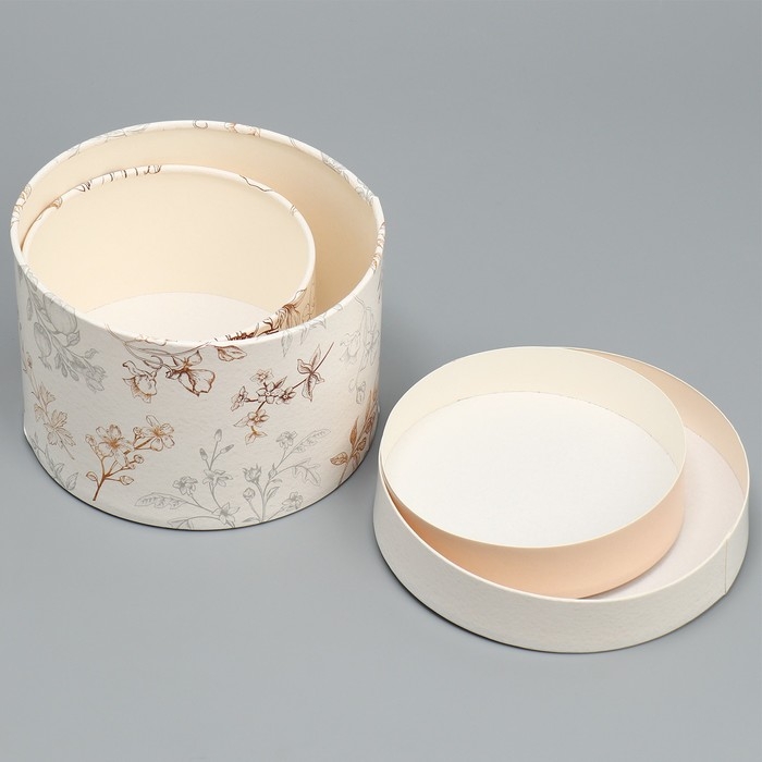 Набор шляпных коробок 2 в 1, упаковка подарочная, &laquo;Нежность&raquo;, 16 х 11.5, 13 х 9 см