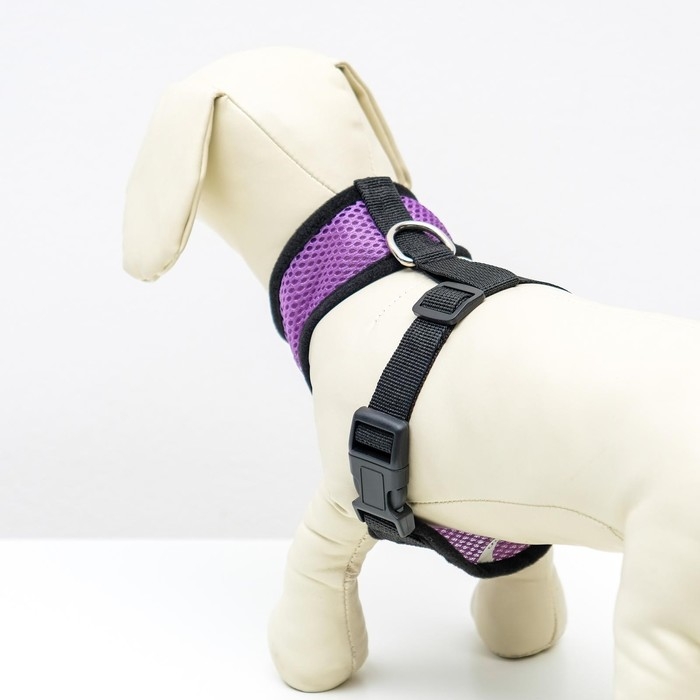 Шлейка мягкая из неопрена, размер XL, ОШ 42 см, ОГ 38-50 см, фиолетовая Шлейка мягкая из неопрена, размер XL, ОШ 42 см, ОГ 38-50 см, фиолетовая