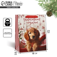 Пакет подарочный новогодний ламинированный &laquo;Новогодний подарок&raquo;, MS 18 х 23 х 10 см , Новый год