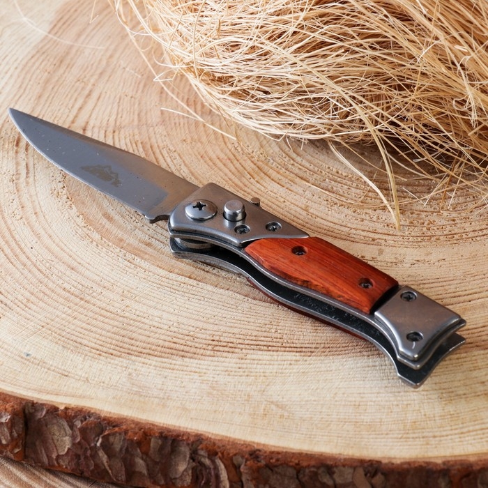 Нож складной Нож складной "Пескарь" 17см, клинок 74мм/2,2мм