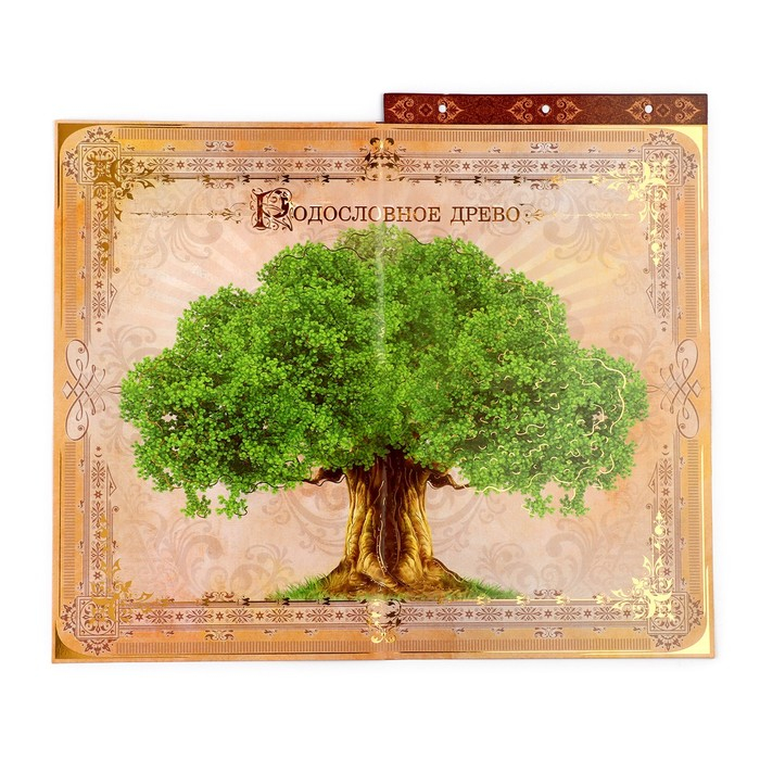 Родословная книга с рамкой под фото &laquo;Семейная летопись&raquo;, 50 листов, 21,5 х 23,7 см.