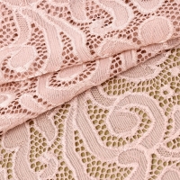 Кружевная эластичная ткань, 170 мм &times; 2,7 &plusmn; 0,5 м, цвет розово-бежевый