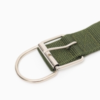 Ошейник "Комфорт" комбинированный (полиэстер, искус. кожа), 70 х 4 см, ОШ 48-58 см, тёмно-зел Ошейник "Комфорт" комбинированный (полиэстер, искус. кожа), 70 х 4 см, ОШ 48-58 см, тёмно-зел