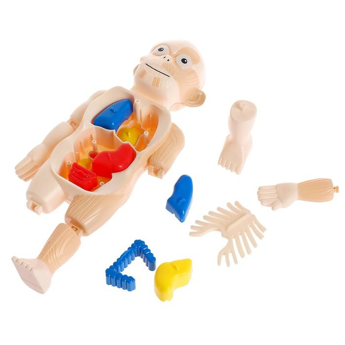 Набор для опытов «Мое удивительное тело» Набор для опытов «Мое удивительное тело»