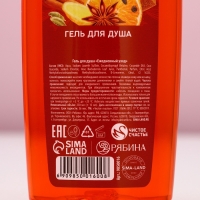 Подарочный набор косметики &laquo;Чудес в Новом Году&raquo;, гель для душа и шампунь для волос, 2 х 250 мл, ЧИСТОЕ СЧАСТЬЕ