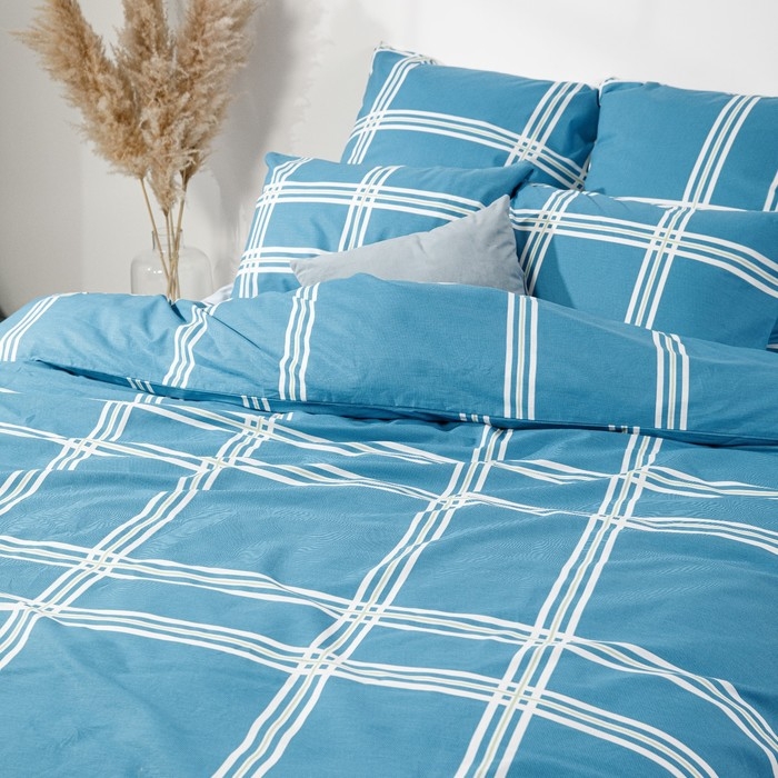 Постельное бельё Евро Ночь Нежна &laquo;Чарльз&raquo; 200х215см, 200х220см, 70х70см 2шт