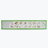 Спортивная игра &laquo;Городки&raquo; в коробке (дерево, 12 элементов, 15 фигур)