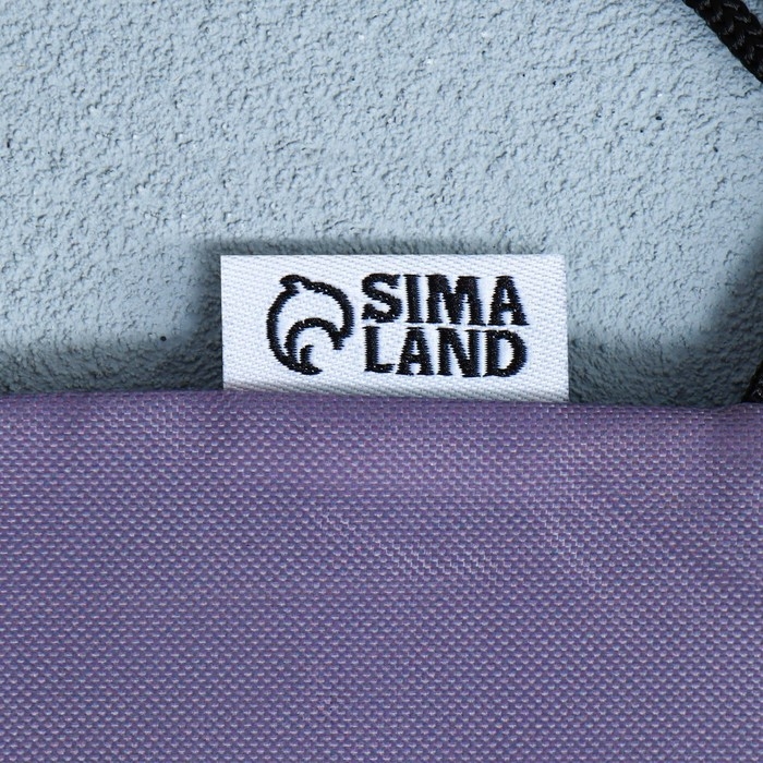 Мешок для обуви &laquo;Весёлый щенок&raquo; с дополнительными элементами, 30 х 40 см