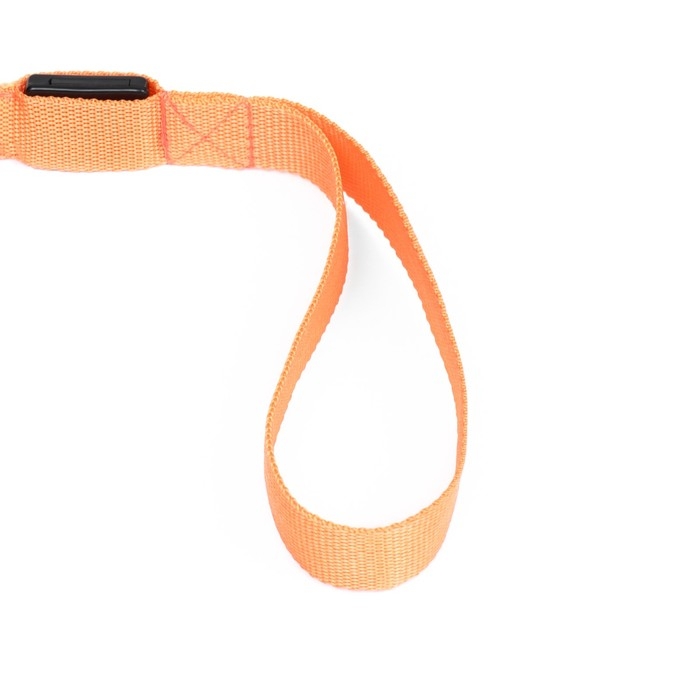 Поводок с подсветкой 3 режима свечения, 120 х 2,5 см, оранжевый Поводок с подсветкой 3 режима свечения, 120 х 2,5 см, оранжевый