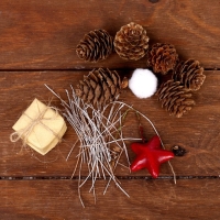 Набор новогоднего декора "Незабываемый праздник" размер шишек: 1,5 × 2 см Набор новогоднего декора "Незабываемый праздник" размер шишек: 1,5 × 2 см