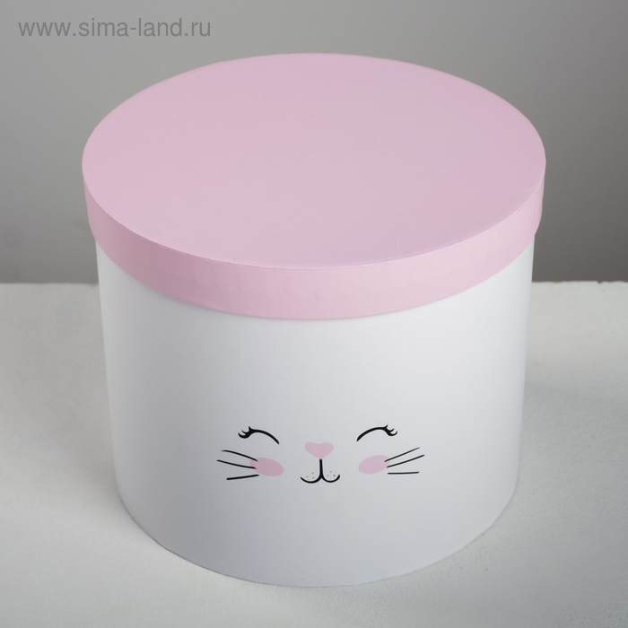 Набор коробок 3 в 1, упаковка подарочная, &laquo;Котики&raquo;, 14 х 14 х 13 - 18 х 18 х 15 см