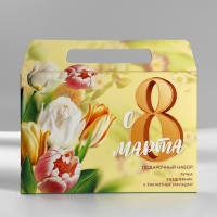 Подарочный набор в портфеле: ежедневник А5, магнитные закладки и ручка &laquo;8 марта&raquo;