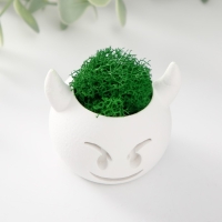 Кашпо бетонное "Чертик" 6,5х6х5,5 см белый со мхом (мох зелен. стабилизир) Кашпо бетонное "Чертик" 6,5х6х5,5 см белый со мхом (мох зелен. стабилизир)