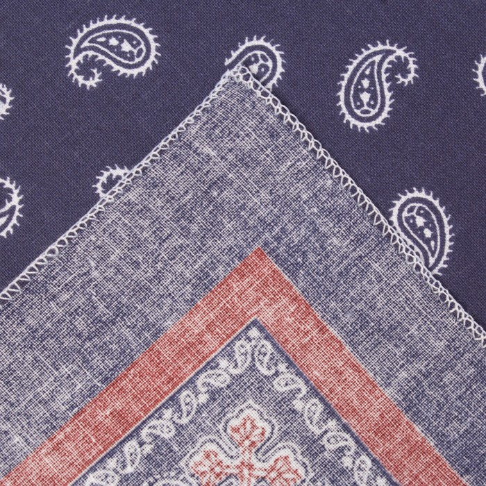 Платки носовые мужские «Этель», размер 30х30 см, (набор 12 шт,) принт МИКС, 100% хлопок Платки носовые мужские «Этель», размер 30х30 см, (набор 12 шт,) принт МИКС, 100% хлопок