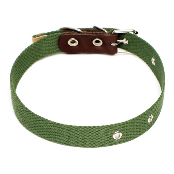 Ошейник брезентовый однослойный, 60,5 х 2,5 см, ОШ 30-55 см, тёмно-зелёный Ошейник брезентовый однослойный, 60,5 х 2,5 см, ОШ 30-55 см, тёмно-зелёный