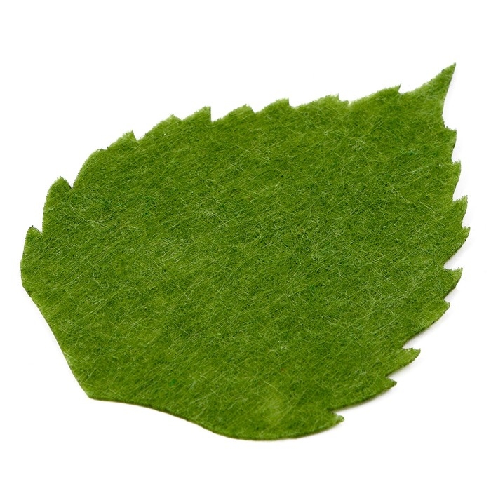 Наклейки «Листья берёзы», набор 4 шт. Наклейки «Листья берёзы», набор 4 шт.