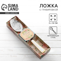 Ложка чайная с гравировкой «Лучшая сестра», в подарочной коробке, 3 х 14 см. Ложка чайная с гравировкой «Лучшая сестра», в подарочной коробке, 3 х 14 см.