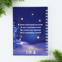 Подарочный набор новогодний &laquo;Для маленькой принцессы&raquo;, ручка, блокнот А6, 40 л