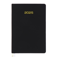 Ежедневник датированный 2025 года, deVENTE. Flag, A5 168 листов, deVENTE. Duo, твердая обложка кожзам с поролоном, шелкография, перфорация, ляссе, блок 70 г/м2