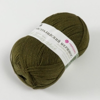 Пряжа "Австралийский меринос" 95%меринос. шерсть,5% акрил объёмный 400м/100гр (423-Болото) Пряжа "Австралийский меринос" 95%меринос. шерсть,5% акрил объёмный 400м/100гр (423-Болото)