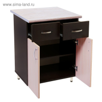 Шкаф напольный 600 Тоника, 2 ящика, 600х850х600, Венге/Дуб молочный