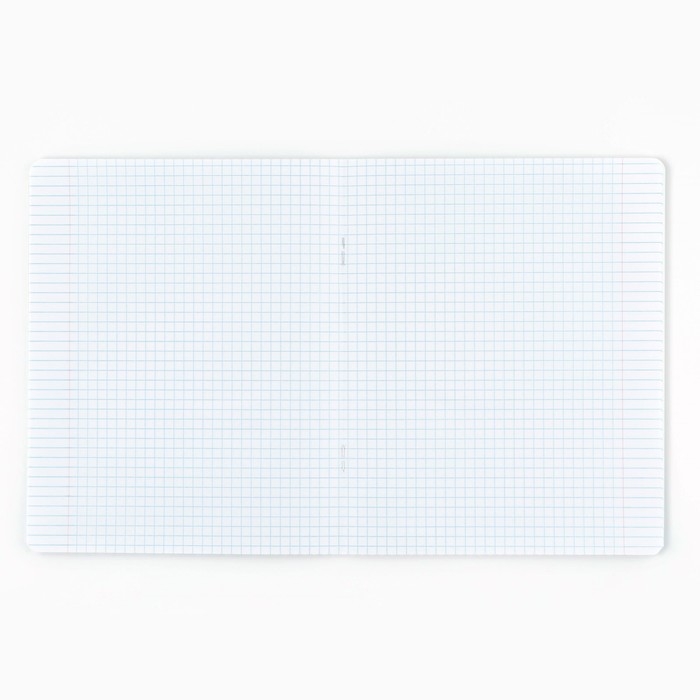 Набор первоклассника в папке для тетрадей 25 предметов &laquo;1 сентября: Папка отличника. Кот&raquo;