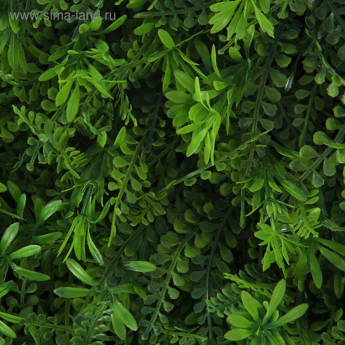 Декоративная панель, 40 × 60 см, «Разнотравье», Greengo Декоративная панель, 40 × 60 см, «Разнотравье», Greengo