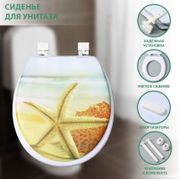 Сиденье для унитаза с крышкой Доляна &laquo;Пляж со звездой&raquo;, 40&times;37 см, мягкое