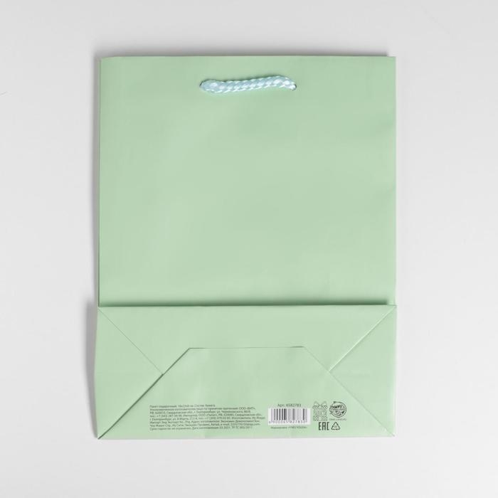 Пакет подарочный ламинированный, упаковка, &laquo;Зелёный&raquo;, MS 18 х 23 х 8 см