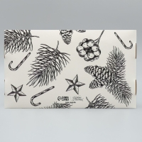 Коробка для эклеров с вкладышами «Волшебного Нового года!», 25.2 х 15 х 7 см, Новый год Коробка для эклеров с вкладышами «Волшебного Нового года!», 25.2 х 15 х 7 см, Новый год