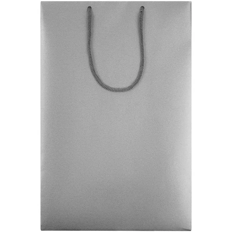 Пакет бумажный «Блеск», средний, серебристый Пакет бумажный «Блеск», средний, серебристый