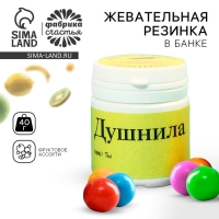 Жевательная резинка &laquo;Душнила&raquo; в банке, 40 г.