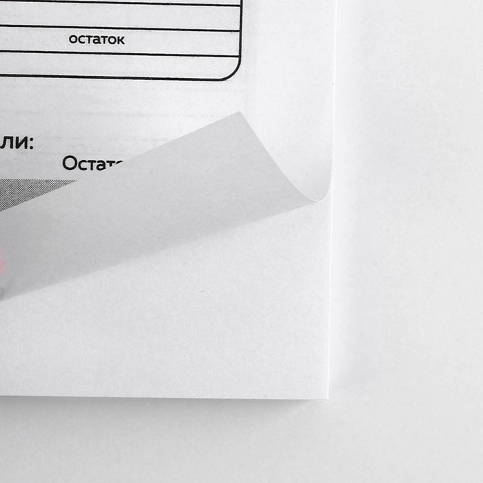 Умный блокнот CashBook А6, 68 листов «Денежный кот» Умный блокнот CashBook А6, 68 листов «Денежный кот»