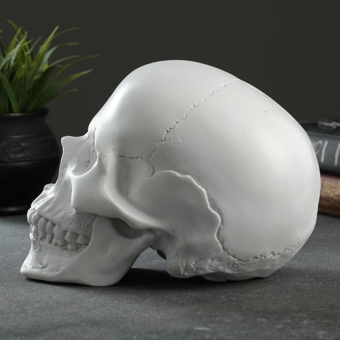 Копилка Копилка "Череп" белый, 16х13х22см