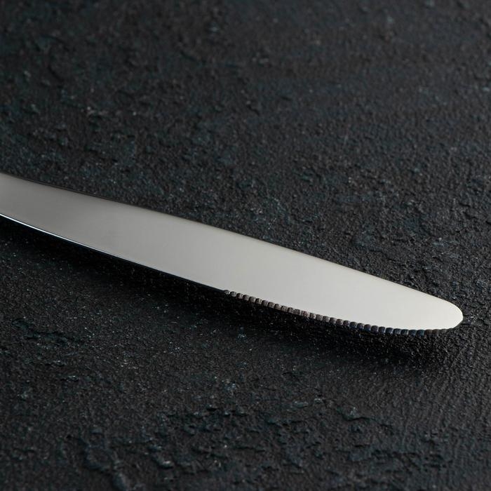 Набор столовый «Торжество», 24 предмета, толщина 2 мм, сувенирная коробка, цвет серебряный Набор столовый «Торжество», 24 предмета, толщина 2 мм, сувенирная коробка, цвет серебряный