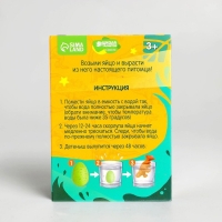 Растущие животные в яйце &laquo;Динозавр&raquo; МИКС