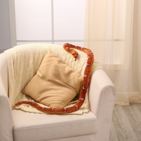 Мягкая игрушка &laquo;Змея&raquo;, 140 см, цвет коричневый