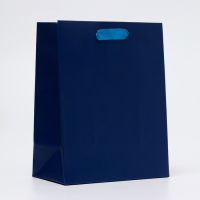 Пакет ламинированный &laquo;Синий&raquo;, MS 18 &times; 23 &times; 10 см