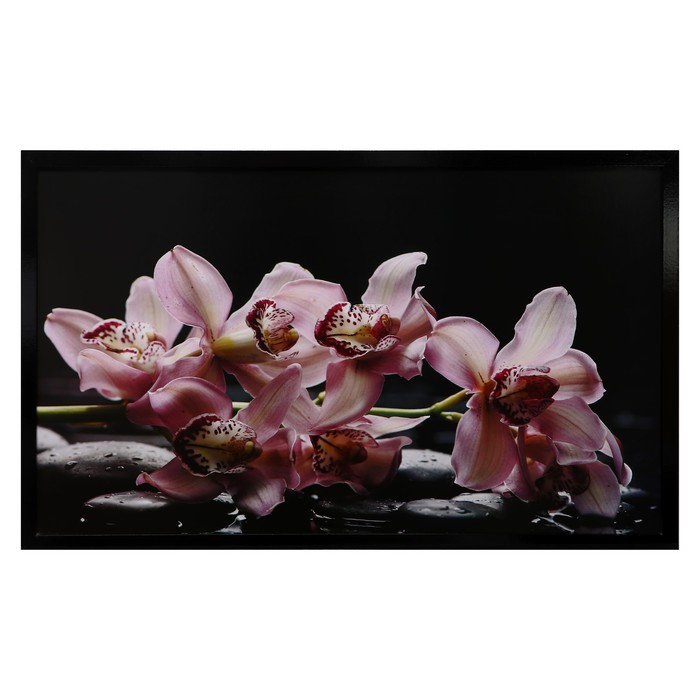 Картина "Цветы на камнях" 67х107 см рамка микс