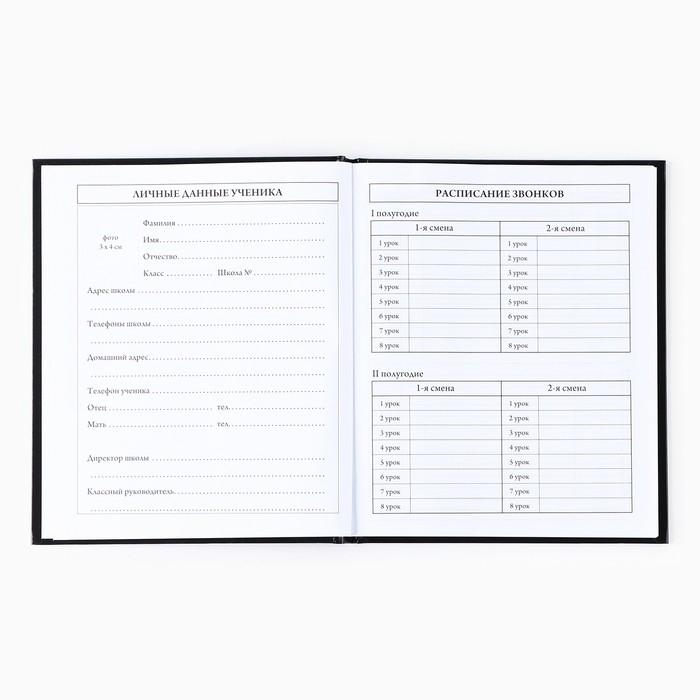Дневник школьный для 1-11 класса, в твердой обложке, 40 л. &laquo;Знаний у меня не отнять&raquo;