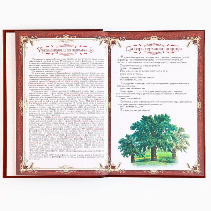 Родословная книга с новогодним пояском &laquo;Новый год: Каждый день&raquo;, 16,5 х 24 см.