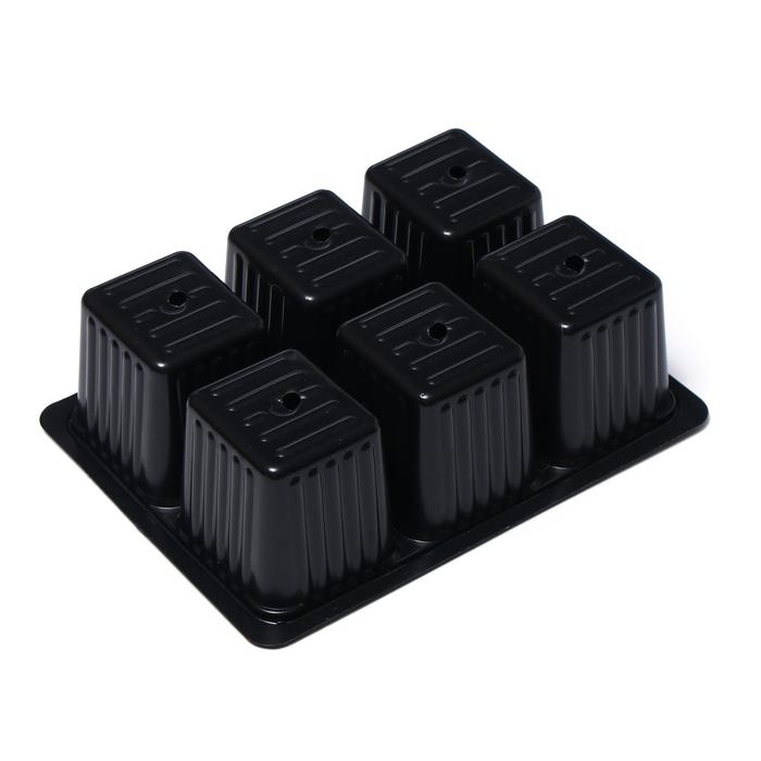 Кассета для рассады, на 6 ячеек, по 120 мл, пластиковая, чёрная, 18 &times; 13 &times; 6 см, в наборе 10 шт., Greengo